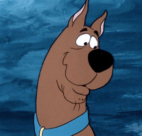 scooby doo halloween gif|scooby doo gif images.